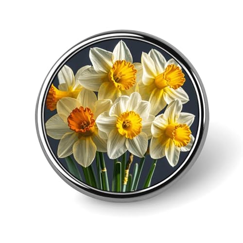 Punk Rock Kopfhörer Schädel Runde Anstecknadel Brosche Abzeichen Niedliche Krawattennadel für Hüte, Kleidung, Taschen, einzigartiges Mode-Accessoire, Geschenk für Männer und Frauen, Circular von GHBNK