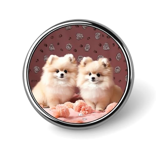 Runde Anstecknadel mit Regenbogen-Musiknote, Melodie, niedliche Krawattennadel für Hüte, Kleidung, Taschen, einzigartiges Mode-Accessoire, Geschenk für Männer und Frauen, rund, Aluminium, kein von GHBNK