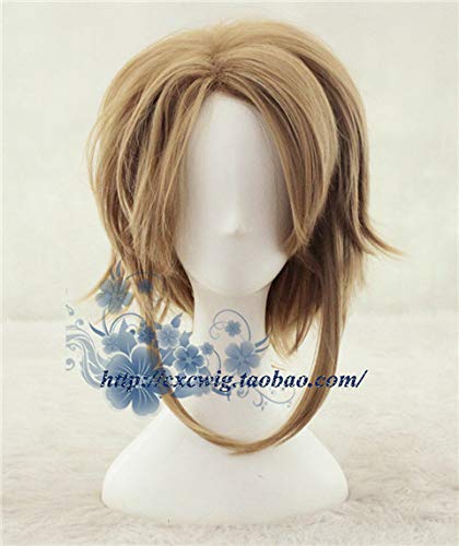 Cosplay Wig The Legend of Zelda Link Brown Halloween Role Play Hair von XINYIYI