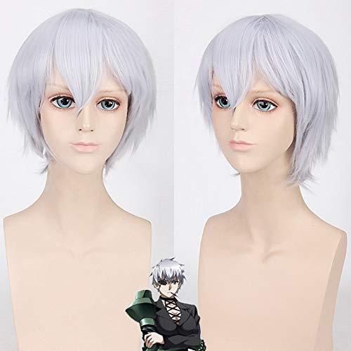 GHK Akame ga KILL Najenda Gerade Kurze Weiße Perücke Cosplay Anime Hitzebeständige Halloween Kostüm Kunsthaar Perücken Für Männer 30 cm von GHK