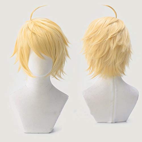 GHK Arthur Pendragon Goldene Perücke Halloween Fate/Prototyp Grand Order Cosplay Hair Sabre von GHK