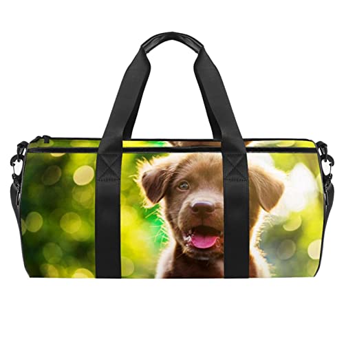 Sporttasche für Damen,Reisetasche,Übernachtungstasche,Trainingstasche,Brauner Labrador Hund von GIAPB