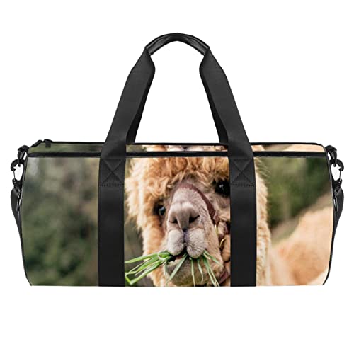 Sporttasche für Damen,Reisetasche,Übernachtungstasche,Trainingstasche,Tierisches Alpaka Bild von GIAPB