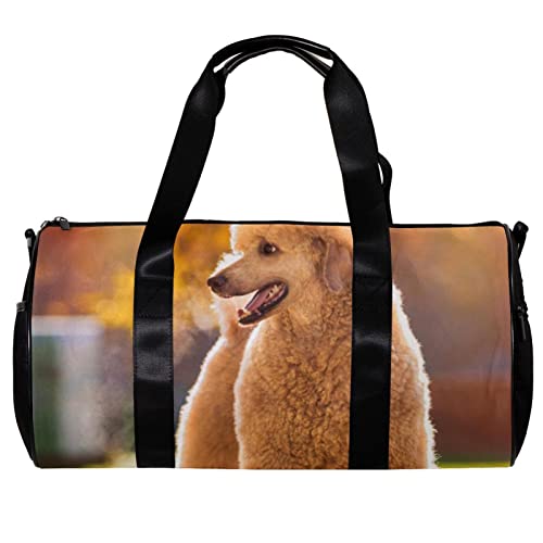 Turnbeutel für Damen,Reisetasche,Turnbeutel für Herren,Sporttasche,Tierischer Pudelhund von GIAPB