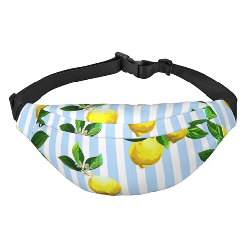 Gürteltasche für Herren, modische Umhängetasche, Bauchtasche für Damen, Hüfttasche mit verstellbarem Riemen, Frucht-Zitrusfrüchte auf Streifen, Mehrfarbig, Einheitsgröße von GIMMAV