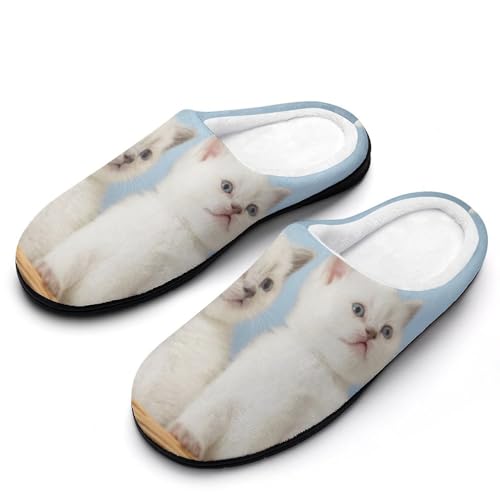 GIOKQB Kätzchen Hausschuhe Damen Warme Kunstwolle Memory Foam Slippers Rutschfeste Pantoffeln von GIOKQB