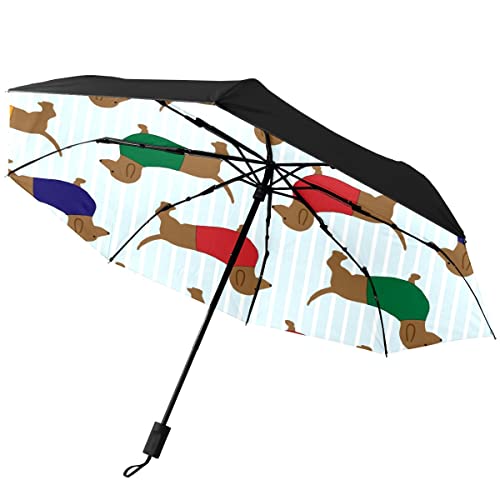 GISPOG Automatischer, faltbarer Regenschirm, Dackel, wasserdicht, kompakt, Sonnen- und Regenschirme für Reisen, einfarbig, Einheitsgröße von GISPOG