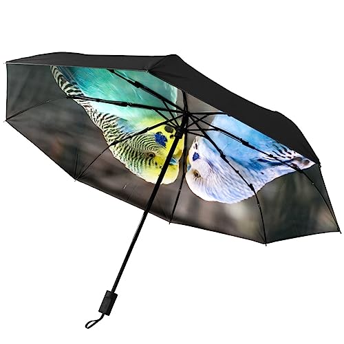GISPOG Automatischer faltbarer Regenschirm, Wellensittich, Freundschaft, Zuneigung, wasserdicht, kompakt, Sonne und Regen, Reise-Regenschirme, einfarbig, Einheitsgröße von GISPOG
