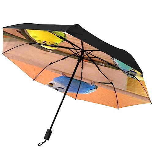 GISPOG Automatischer faltbarer Regenschirm, Wellensittiche, Vögel, wasserdicht, kompakt, für Sonne und Regen, einfarbig, Einheitsgröße von GISPOG