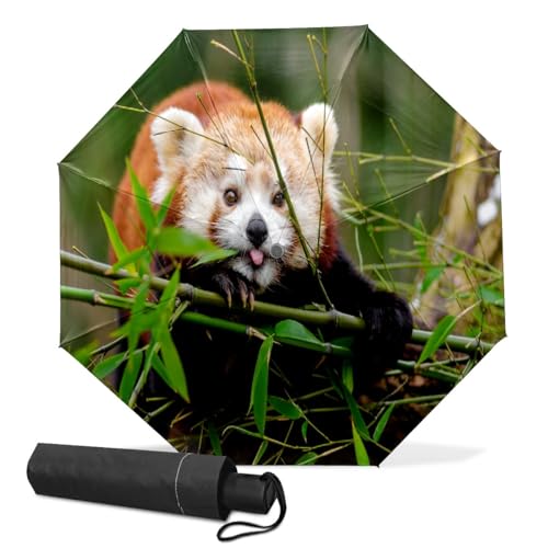 GISPOG Automatischer faltbarer Regenschirm, roter Panda-Waschbär, wasserdicht, kompakt, für Sonne und Regen, Reiseschirme für Damen und Herren, einfarbig, Einheitsgröße GISPOG Automatischer faltbarer Regenschirm, roter Panda-Waschbär, wasserdicht, kompakt, für Sonne und Regen, Reiseschirme für Damen und Herren, einfarbig, Einheitsgröße von GISPOG