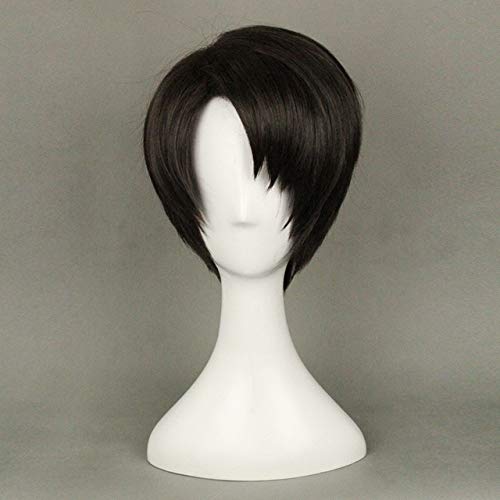 Angriff auf Titan Levi Ackerman Anime Cosplay Perücken für Mann Short Straight Cartoon Party Hochwertiges Kunsthaar B + Perückenkappe One Size wie das Bild von GJBXP