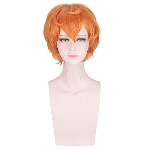 Anime Land des glänzenden Zirkons Kurze Perücke Cosplay Kostüm Houseki no Kuni Hitzebeständiges Kunsthaar Männer Frauen Perücken Anime Land des glänzenden Zirkons Kurze Perücke Cosplay Kostüm Houseki no Kuni Hitzebeständiges Kunsthaar Männer Frauen Perücken von GJBXP