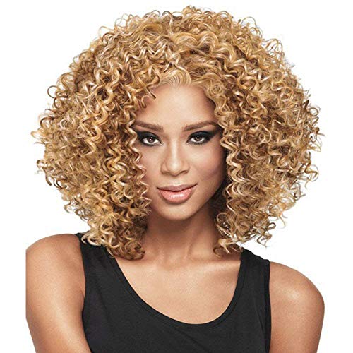 GJBXP Afro Kurze Lockige Schwarz Braun Cosplay Perücken Bob Hitzebeständige Kunstfaser Two Tone Haar Echte Natürliche für Frauen 16 Zoll D von GJBXP