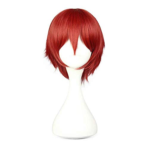 GJBXP Haarteile Unisex Kurze Gerade Rot Anime Convention Fan Kostüm Verkleidung Charakter Spielen Cosplay Party Perücke von GJBXP