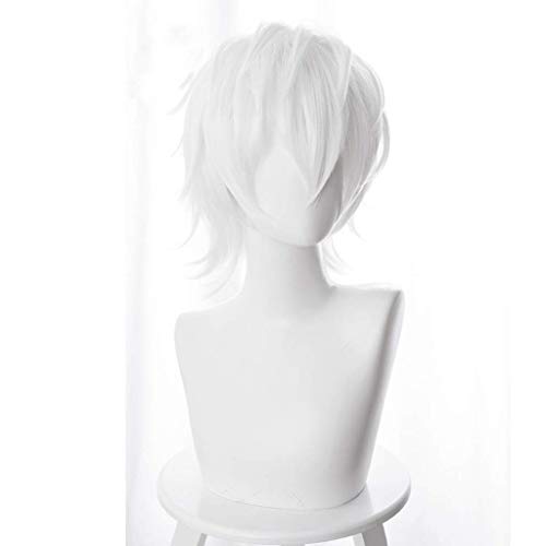 GJBXP Haarteile zu Aru Majutsu kein Index Anime Cosplay Rose Net Perücken Hochtemperaturbeständige Faser Kurzes Haar Weiß 14 Zoll von GJBXP