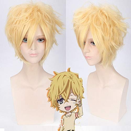 Karneval YOGI Cosplay Perücke Männer Jungen 30 cm kurzes lockiges hitzebeständiges Kunsthaar Halloween häufig Karneval Blonde Perücken + Perücke c Karneval Karneval Perücke PL-172 von GJBXP