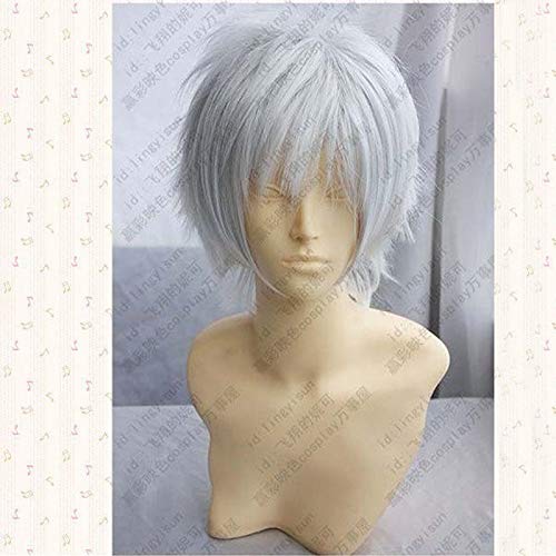NO.6.Shion Short Silber Weiß Flauschiges Kunsthaar Cosplay Anime Perücken Hitzebeständigkeit Kostüm Perücken + Perückenkappe NO.6 Silber Weiß von GJBXP
