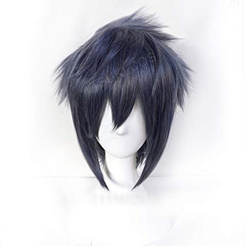 Noctis Lucis Caelum Cosplay Perücke Final Fantasy Xv Kostüm Ff15 Xv Cosplay Perücken Halloween Kostüme Haare für Männer + Perücke Cap 01 Noctis Lucis Caelum Cosplay Perücke Final Fantasy Xv Kostüm Ff15 Xv Cosplay Perücken Halloween Kostüme Haare für Männer + Perücke Cap 01 von GJBXP