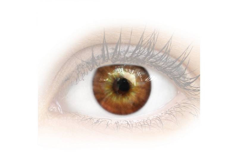 GLAMLENS Monatslinsen Cagliari Brown von GLAMLENS