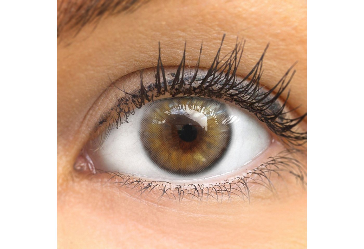 GLAMLENS Monatslinsen Natürliche graue Kontaktlinsen "Bardolino Brown" GLAMLENS Monatslinsen Natürliche graue Kontaktlinsen "Bardolino Brown" von GLAMLENS