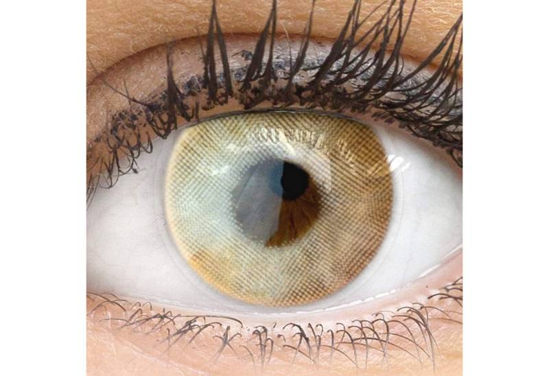 GLAMLENS Monatslinsen Sehr stark deckende und natürliche Orangene Linsen "Valencia Orange" von GLAMLENS