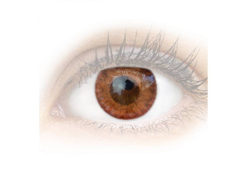 GLAMLENS Monatslinsen Sehr stark deckende und natürliche braune Linsen "Flora Pure Hazel" von GLAMLENS