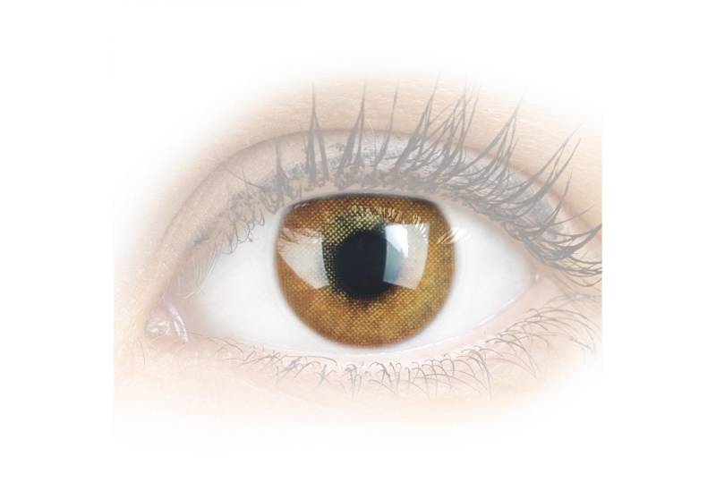 GLAMLENS Monatslinsen Stark deckende & natürliche Linsen Jasmine Brown mit/ohne Stärke von GLAMLENS