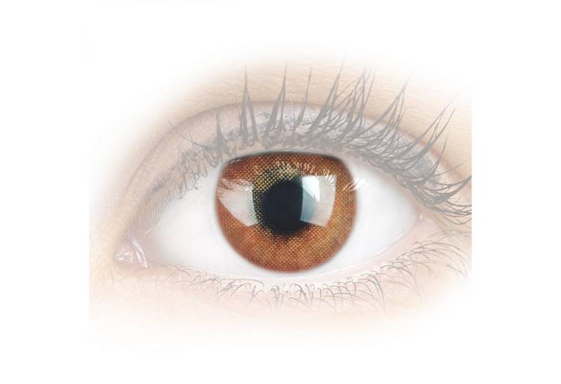GLAMLENS Monatslinsen Stark deckende & natürliche Linsen Jasmine Choco mit/ohne Stärke von GLAMLENS