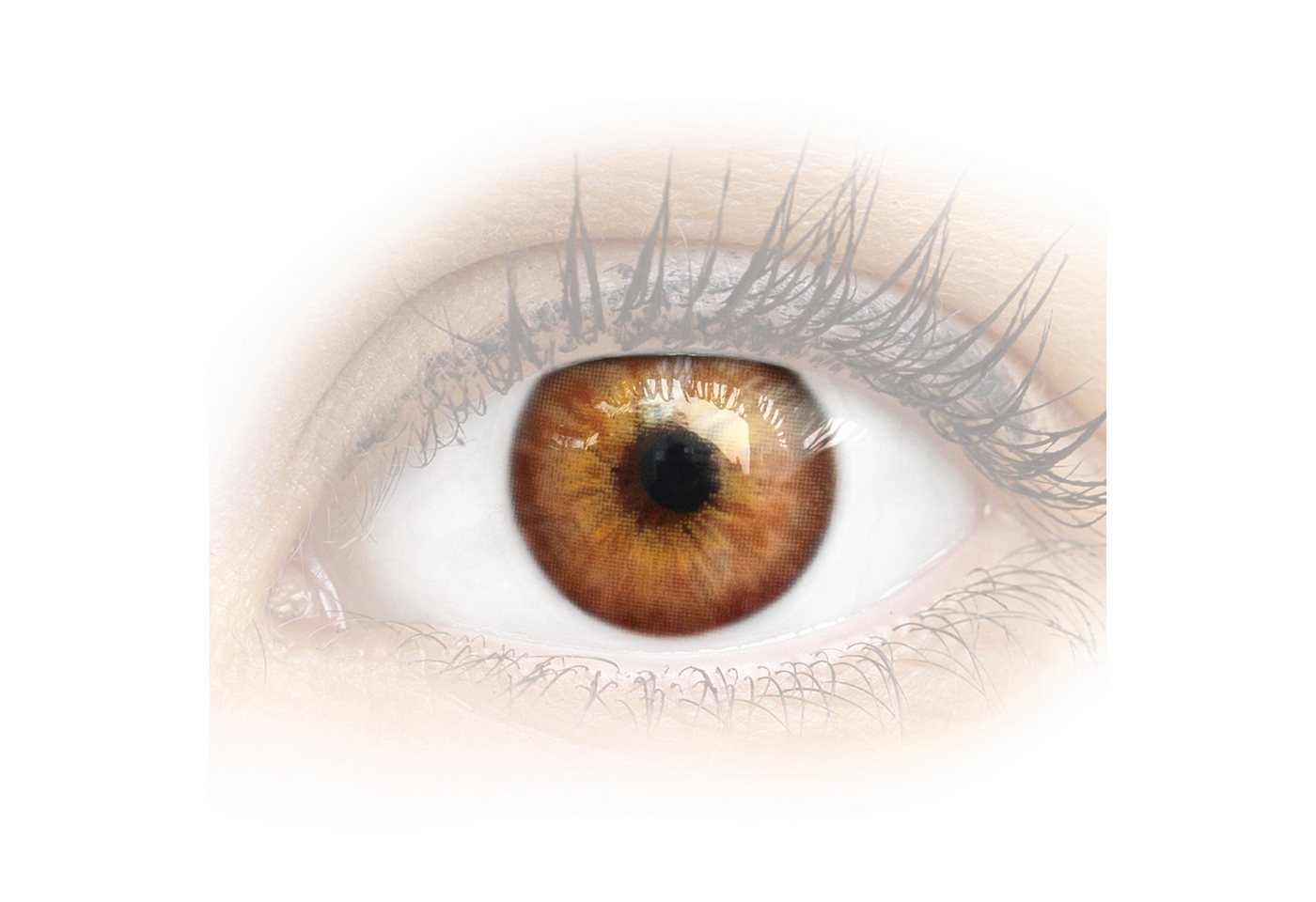 GLAMLENS Monatslinsen Sehr stark deckende und natürliche braune Linsen "Madrid Brown" von GLAMLENS