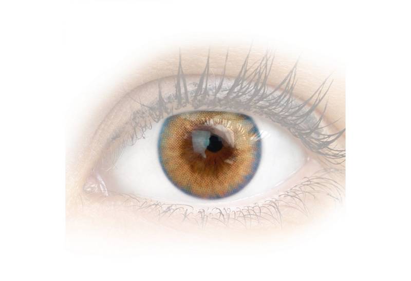 GLAMLENS Monatslinsen Sehr stark deckende und natürliche braune Linsen "Padua Choco" von GLAMLENS