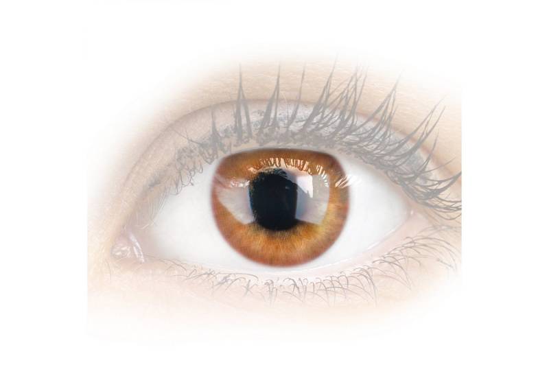GLAMLENS Monatslinsen Stark deckende & natürliche braune Linsen Rose Brown mit/ohne Stärke von GLAMLENS