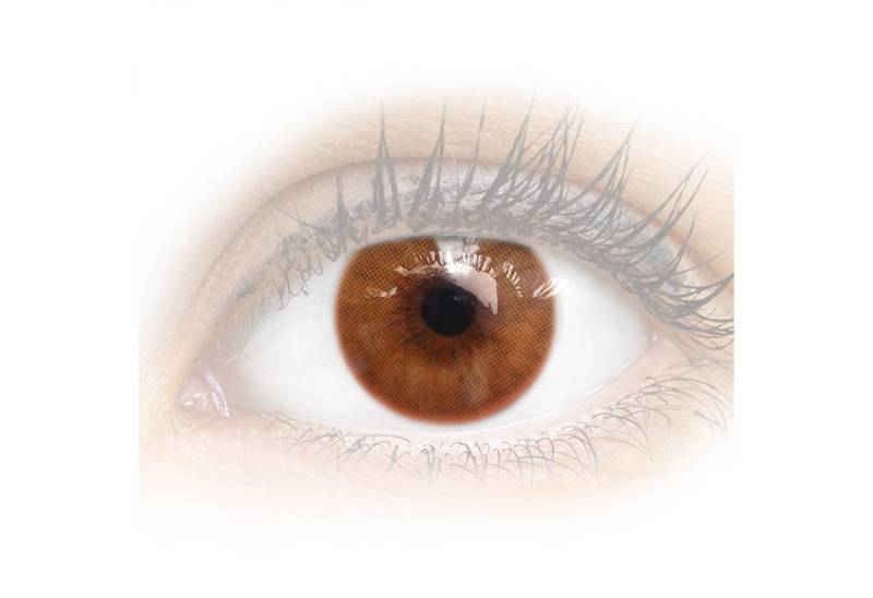 GLAMLENS Monatslinsen Sehr stark deckende und natürliche braune Linsen "Venedig Brown" von GLAMLENS