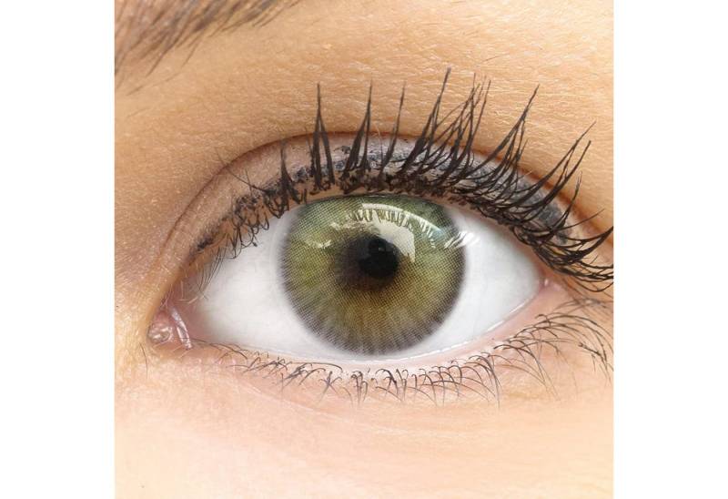 GLAMLENS Monatslinsen Sehr stark deckende und natürliche graue Linsen "Limone Gray" von GLAMLENS