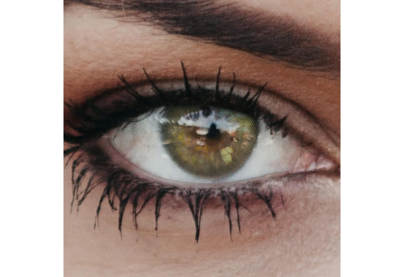 GLAMLENS Monatslinsen Sehr stark deckende und natürliche grüne Linsen "New York Green" von GLAMLENS