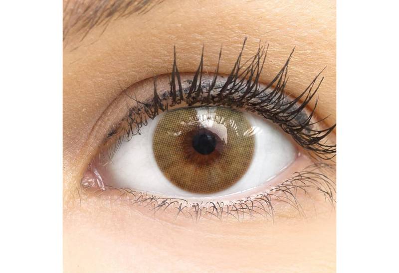 GLAMLENS Monatslinsen Sehr stark deckende und natürliche grüne Linsen "Venedig Green" von GLAMLENS