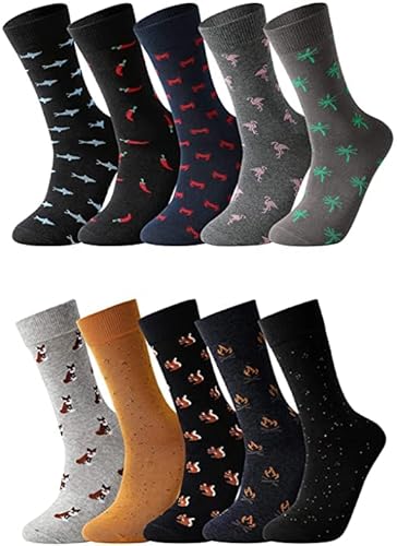 GLENMEARL Herrensocken, 10 Stück, lustige gekämmte Baumwolle, Kleidersocken für Herren, lustig, gemustert, bunt, Happy Socks, Tier & Eichhörnchen, 43-47 EU von GLENMEARL