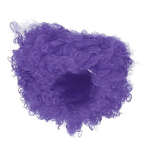 Interessante Zirkus-Clown-Party-Perücke für Erwachsene, Neuartige Farbe, Lockiges Haar, Abschlussball-Kleid-Requisite (PURPLE) von GLOGLOW