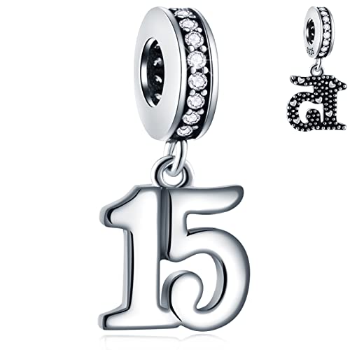 15th Geburtstag Dangle Charms passt Pandora Bday Armband Halskette, 925 Sterling Silber 15 Jubiläum Anhänger Perlen mit CZ Geburtssteinen, Anzahl 15 Jahre Geschenke für Jungen/Mädchen/Sohn von GLOWDAS