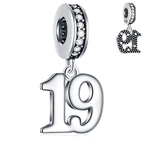 19 Jahre Geburtstag Dangle Charms passt Pandora Weihnachten Armband Halskette, 925 Sterling Silber 19th Jubiläum Anhänger Perlen mit Geburtssteinen, Anzahl 19 Bday Geschenke für Familie/BFF/Mädchen von GLOWDAS