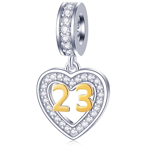 23 Jahre alt Geburtstag Charms passen Pandora Herz Armband, 18K Gold Zahl 23 Charm, 925 Sterling Silber 23rd Jahrestag Halskette Anhänger Perlen mit CZ, Geschenke für Enkel/Paar von GLOWDAS