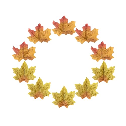 Haarspangen für Damen und Mädchen, rutschfest, für alle Altersgruppen, Party-Requisiten, Haarschmuck, 10 Stück von GMBYLBY