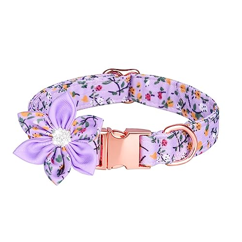 GMJGCIRVC leer Engelsflügel mehrfarbiger Kubikzirkonien einstellbare Zirkonia Reißverschluss Kette Frauen Schmuck von GMJGCIRVC