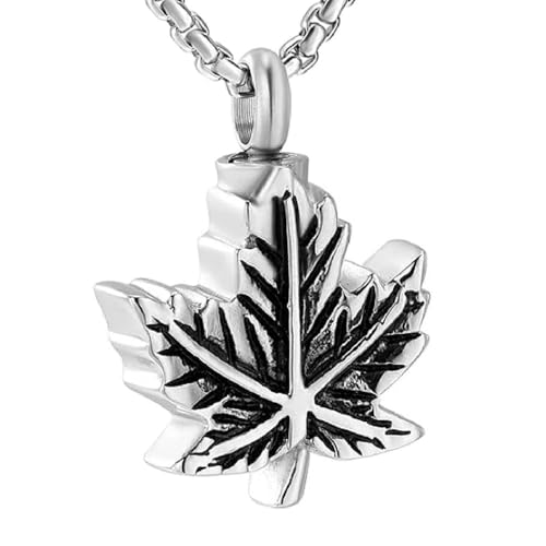 GMLRTOSPT Gedenkurnen-Halskette für Asche, Edelstahl, Einäscherungsschmuck, Aschenhalter, Andenken-Anhänger für Damen und Herren, 2 von GMLRTOSPT