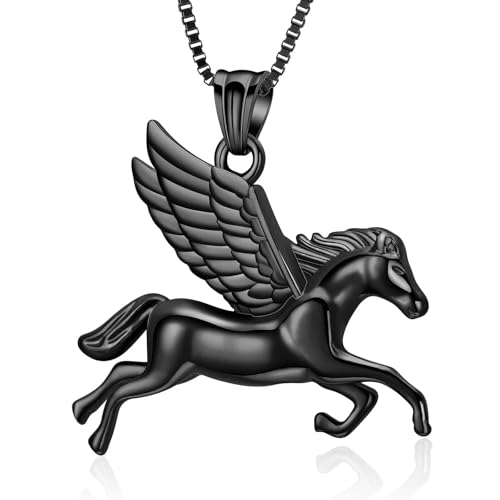 GMLRTOSPT Urnenkette für Asche, Einäscherungsschmuck für die Asche von Menschen und Haustieren, Anhänger aus Edelstahl, Andenken, Gedenkschmuck für Frauen, schwarz von GMLRTOSPT