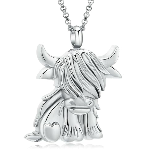 GMLRTOSPT Urnenkette für Asche, Rinder-Einäscherungsschmuck, Edelstahl, Ascheanhänger, Andenken, Gedenkurnenschmuck für Frauen und Männer, Stahl von GMLRTOSPT