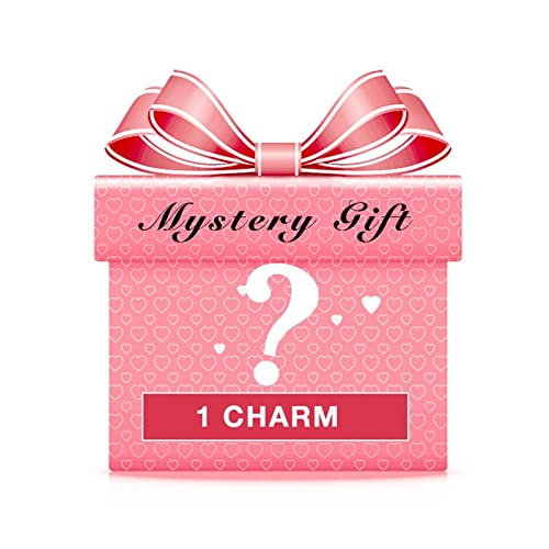 GNOCE Mystery Charm Geschenk Sterling Silber Charm Bead Schmuck Geschenk für Mädchen Frau Tochter Fit Armbänder von GNOCE