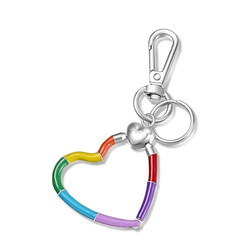 GNOCE Vielseitiger Charm Schlüsselanhänger & Halter Edelstahl Charms Armband Geschenk für Frauen Mädchen Ehefrau Tochter (Regenbogen) von GNOCE