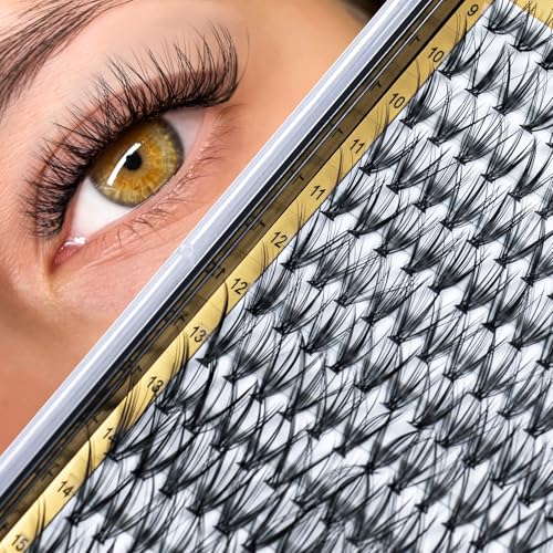 GOLLEE Wimpern Extensions Set Wimpern Cluster DIY Wimpern Extensions Kit Lash Kleber Entferner und Applikatoren für Wimpernverlängerungs-Anfänger C D Curl Weiche Wimpern 8-16MM (Wimpern-20D) von GOLLEE