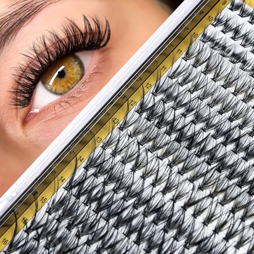 GOLLEE Wimpern Extensions Set Wimpern Cluster DIY Wimpern Extensions Kit Lash Kleber Entferner und Applikatoren für Wimpernverlängerungs-Anfänger C D Curl Weiche Wimpern 8-16MM (Wimpern-30D) von GOLLEE