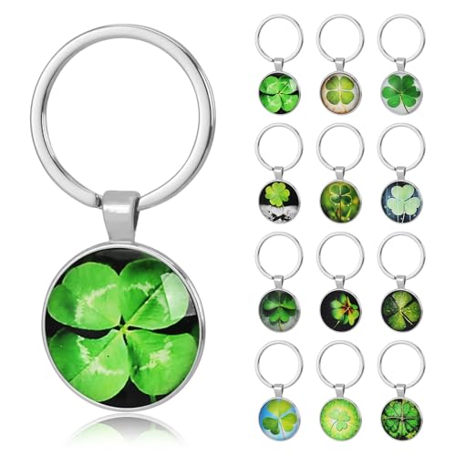 GOTDYBST 12 Stück Vierblättriges Kleeblatt Schlüsselanhänger, Neujahrsglücksbringer 2025, Schlüsselanhänger Glücksbringer - 12 Verschiedene Muster, Viel Glück Geschenke(Kommt Mit Aufbewahrungsbox) von GOTDYBST